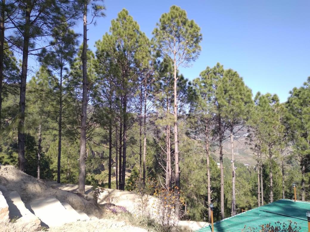 Nature Villaas Basa Homestay Pauri المظهر الخارجي الصورة