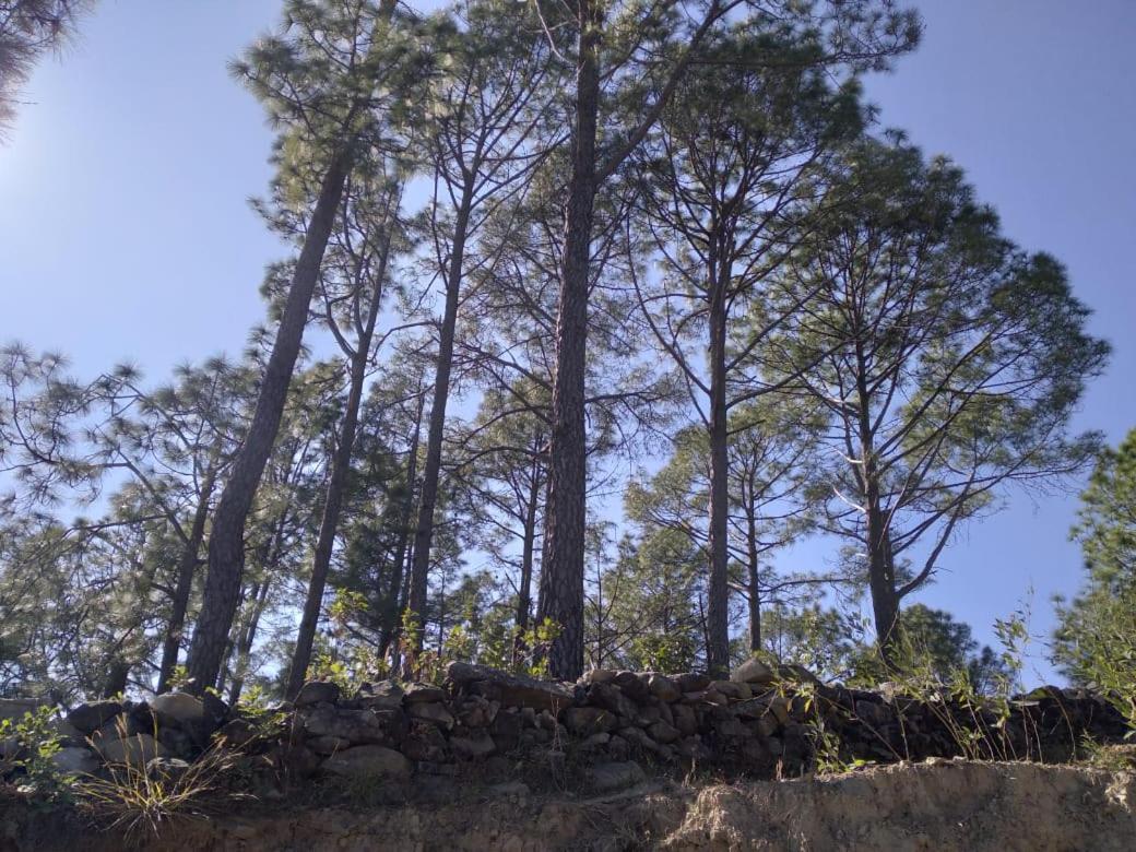 Nature Villaas Basa Homestay Pauri المظهر الخارجي الصورة