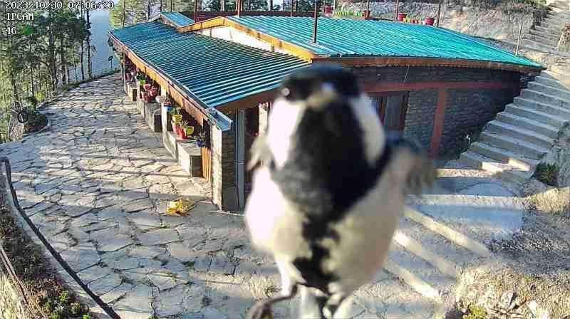Nature Villaas Basa Homestay Pauri المظهر الخارجي الصورة